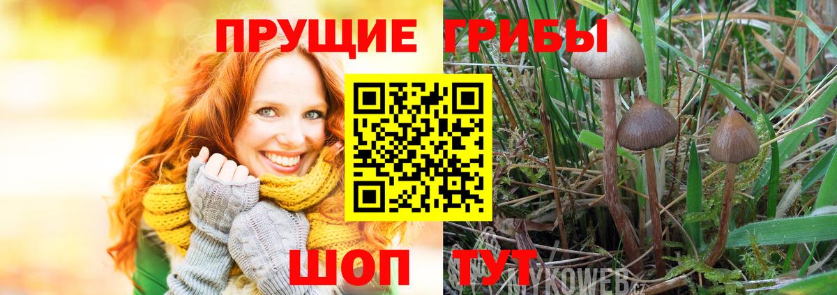 Псилоцибиновые грибы ЛСД  Вход с VPN  Галлюциногенные грибы MAGIC MUSHROOMS  Ленинск-Кузнецкий 